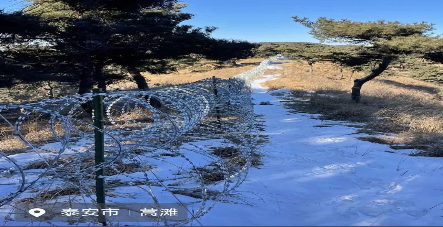 2500万修刀片网围泰山，防的是人还是良心？