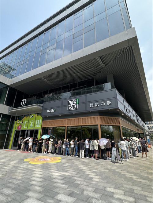 魏家凉皮不让你点外卖了，结果：排队的人翻了一倍